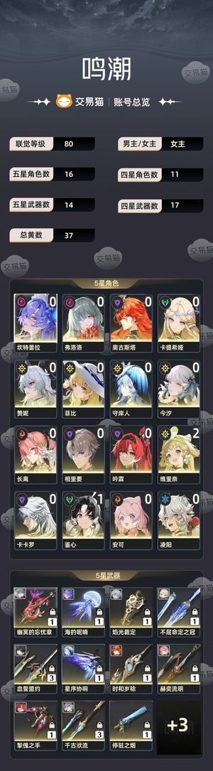 鸣潮【80级】 没时间玩多配队基本毕业