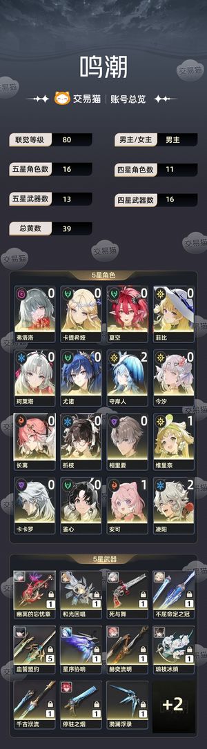 鸣潮【80级】 鸣潮自玩号