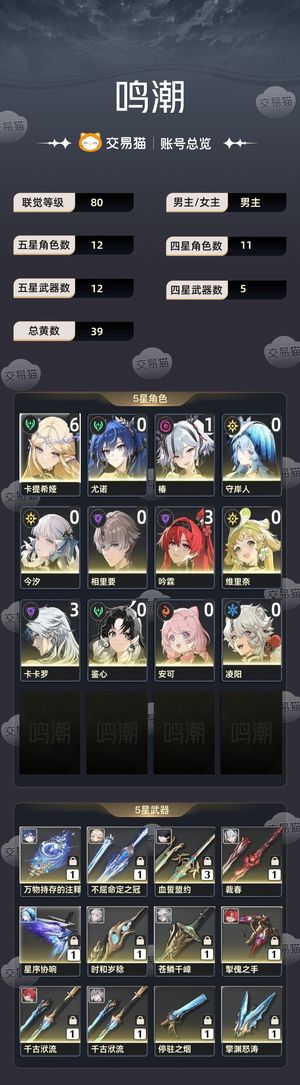 鸣潮【苹果版】【80级】 满链小卡多角色多星声