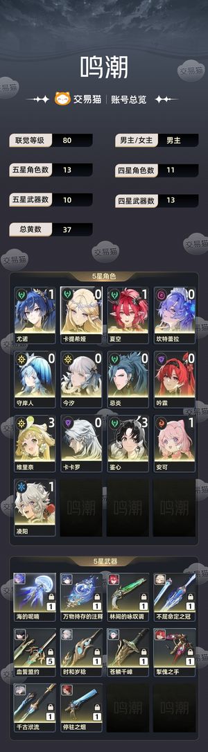 鸣潮【苹果版】【80级】 不是科技号全0 1有的1 1