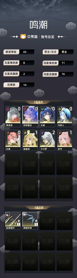 鸣潮【65级】 急用钱，价格可商量