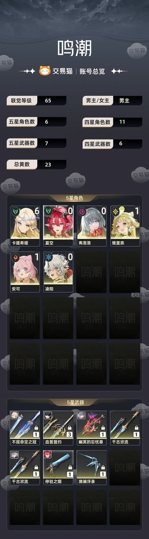 鸣潮【65级】 61卡提希娅弗罗罗01