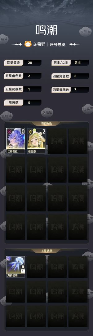 鸣潮【28级】 四命赞妮加专武菲比卡提武器13
