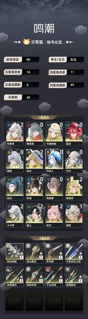 鸣潮【80级】 21菲比和柯莱塔