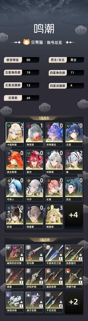 鸣潮【80级】 开服自玩号