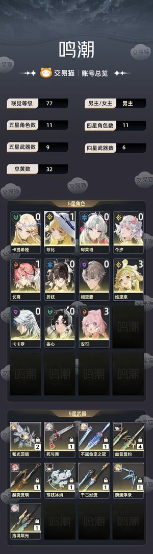 鸣潮【77级】 今汐带皮角色多