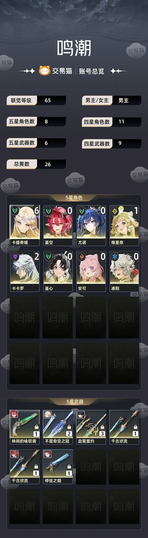 鸣潮【65级】 满命卡提0 1夏空，非科技号