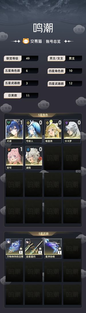 鸣潮【49级】 11金1命尤诺专武守岸人专武