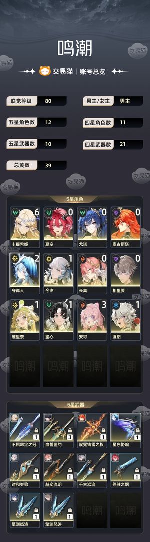 鸣潮【80级】 一万月相61卡提
