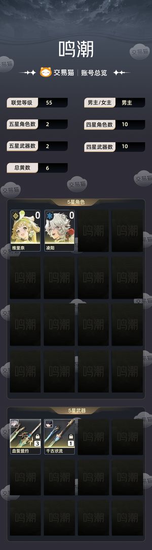 鸣潮【55级】65600星声68金27武