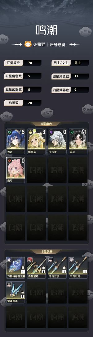 鸣潮【70级】 不是科技号