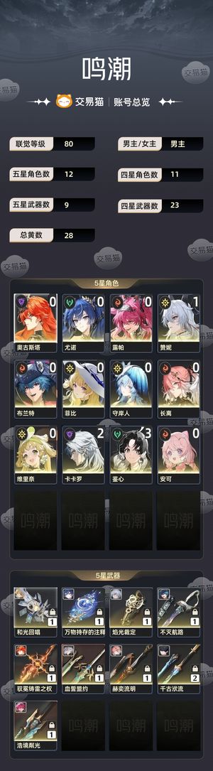 鸣潮【80级】 01日月，角色练度高