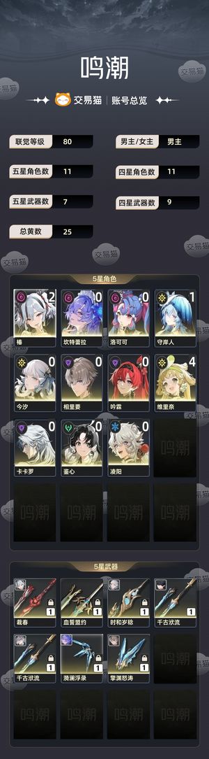鸣潮【80级】 90多体力药