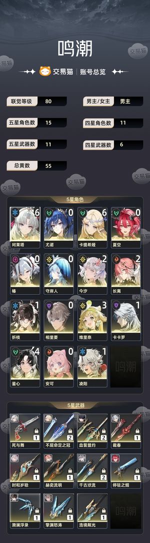 鸣潮【苹果版】【80级】 61卡提61珂莱塔 3个皮肤