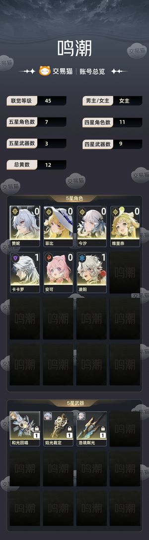 鸣潮【45级】 退游不想玩了