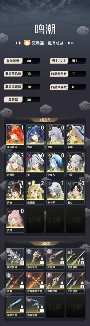 鸣潮【80级】 日月赞菲3命大小姐