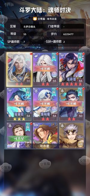 斗罗大陆：魂师对决【 ,55级】红5霍红2.5王林2.1w钻