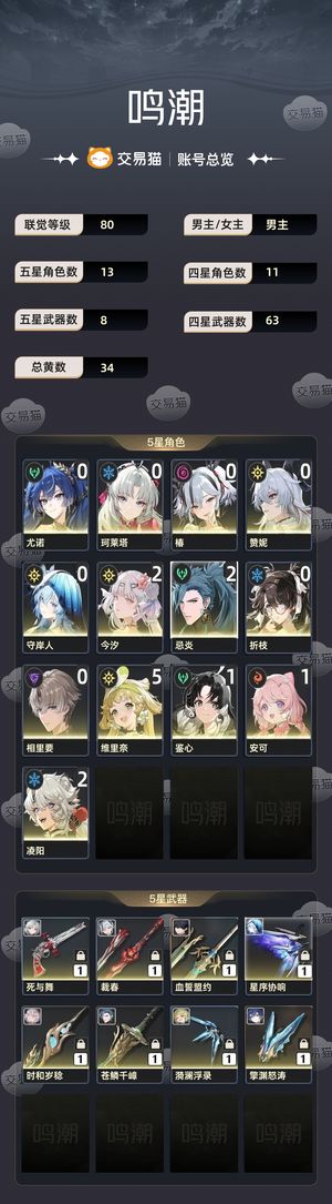 鸣潮【80级】 二链今夕 多up多专武