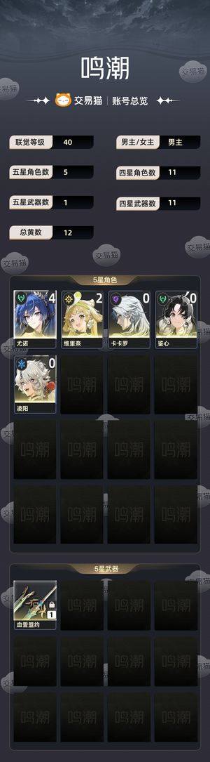 鸣潮【40级】 4命尤诺带大保险
