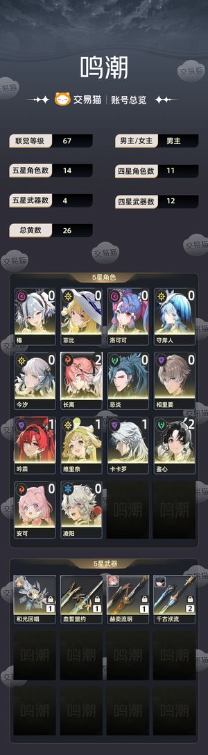 鸣潮【67级】 鸣潮自玩的号 充了五千多