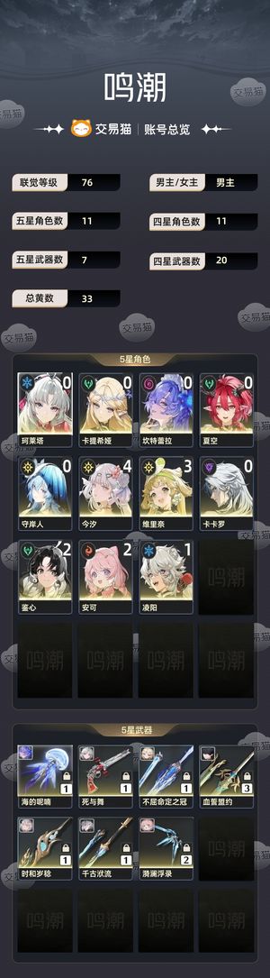鸣潮【76级】 四命今夕常专武带皮肤