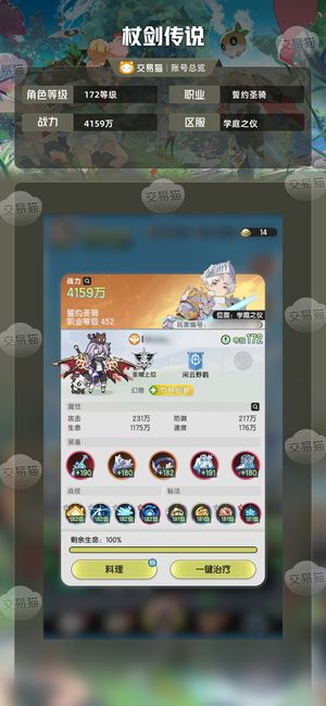 杖剑传说【172级】8.5w精氪！区第一骑士