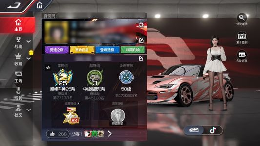 巅峰极速满阶双子星，带满级套件