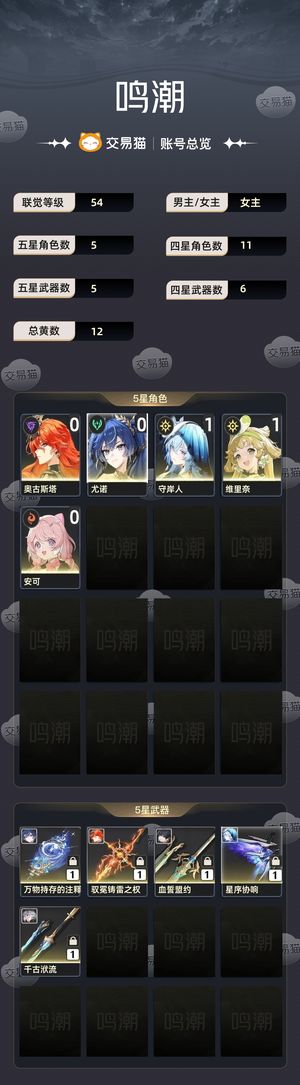 鸣潮【54级】 守岸人 奥古斯塔 尤诺