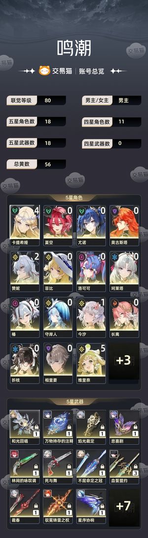鸣潮【80级】 全皮肤欧皇号不找回