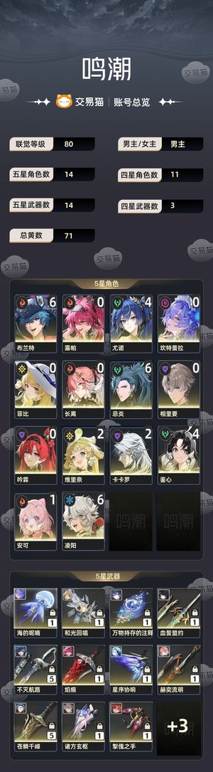 鸣潮【80级】 65忌炎，65布兰特