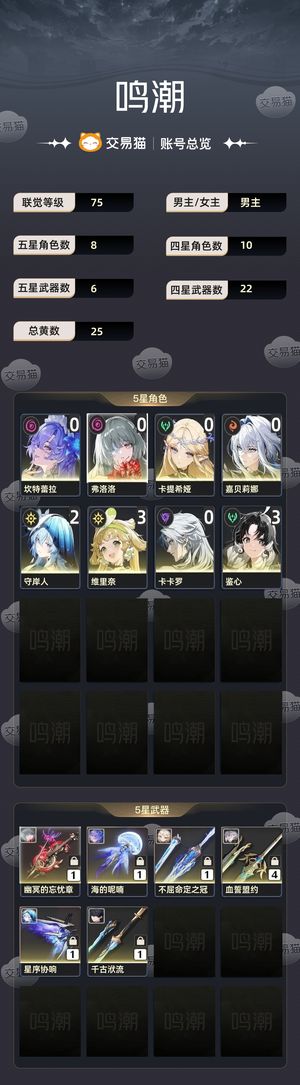 鸣潮【75级】 两个大毕业队伍