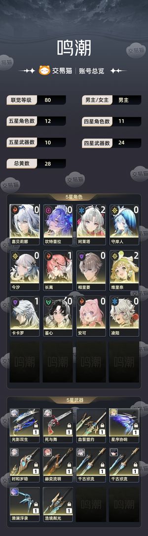 鸣潮【80级】 .....