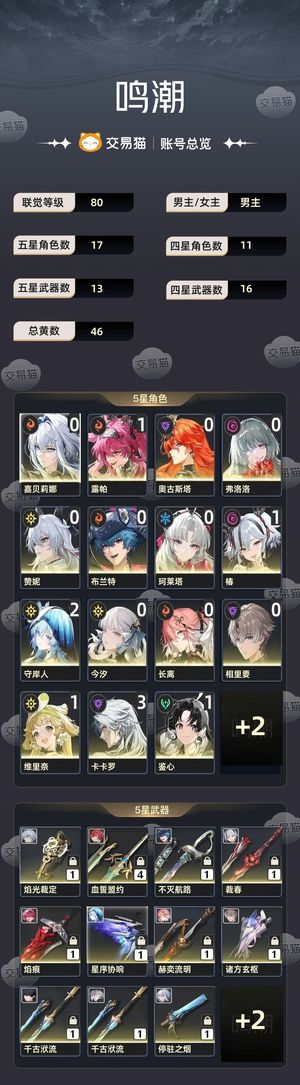 鸣潮【80级】 完全体极品火队，辅助多武器多，