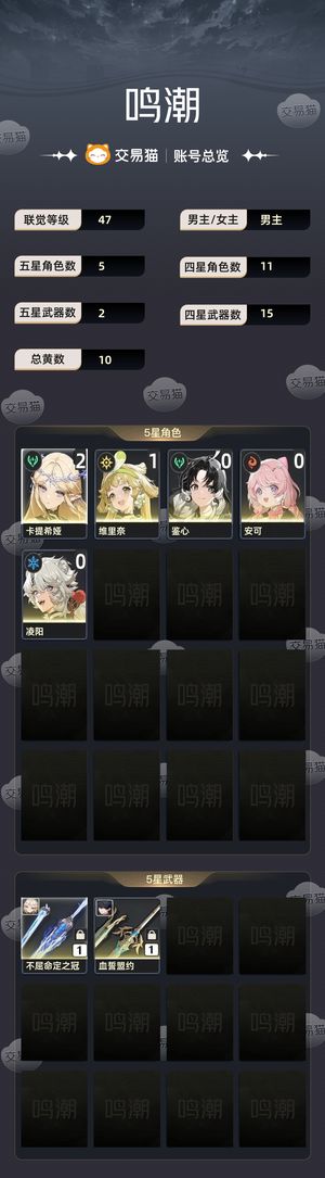 鸣潮【47级】 二链卡提加专武