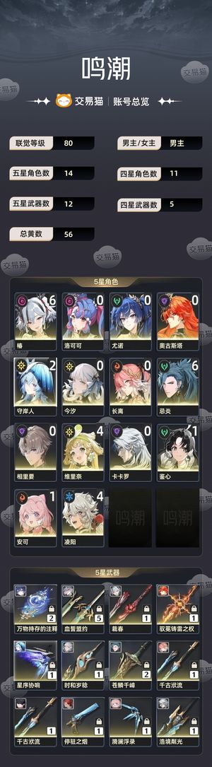 鸣潮【80级】 满命椿忌炎46000星声