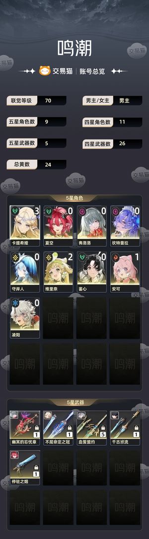 鸣潮【苹果版】【70级】 31卡提 夏守 01弗坎