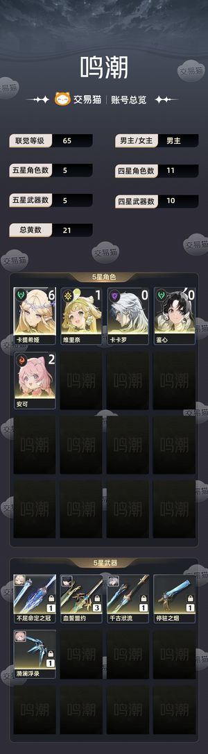 鸣潮【65级】 六加一卡提西娅，一万一星声
