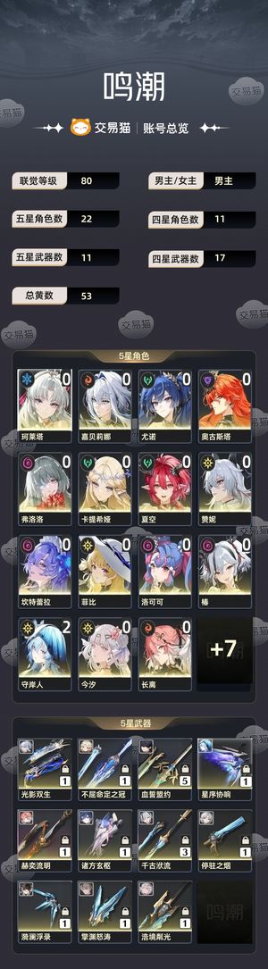 鸣潮【80级】高练50金22天大会员6级b号