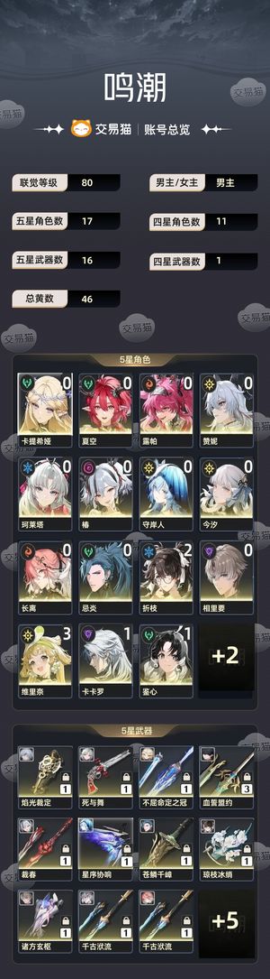 鸣潮【80级】 退游了不玩了