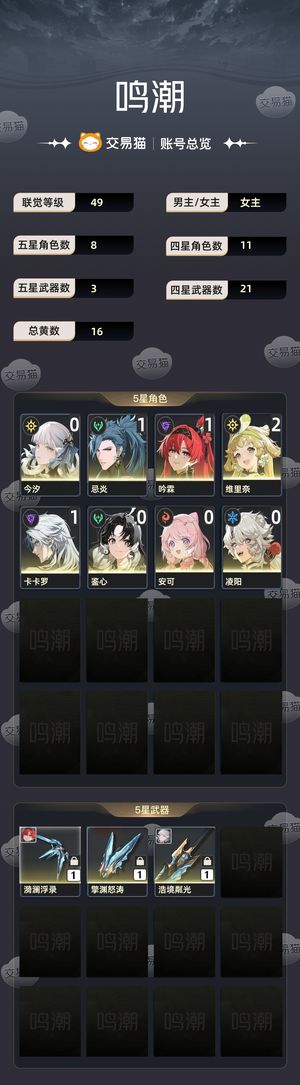 鸣潮【49级】 开服退坑号