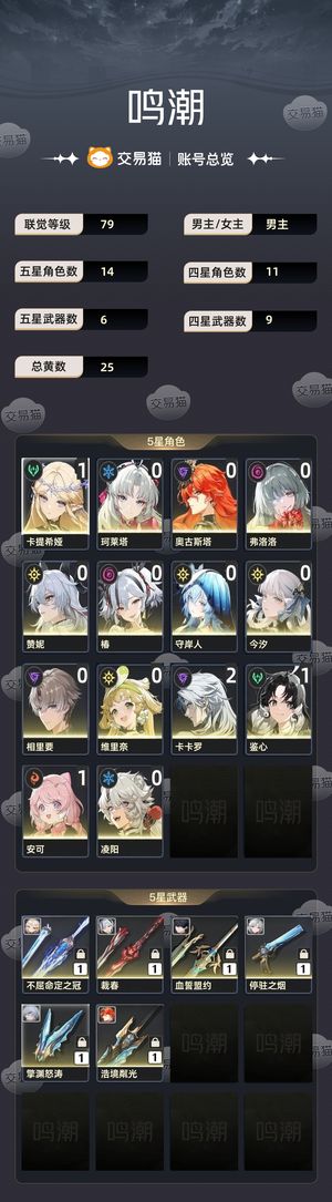 鸣潮【79级】 鸣潮账号出售