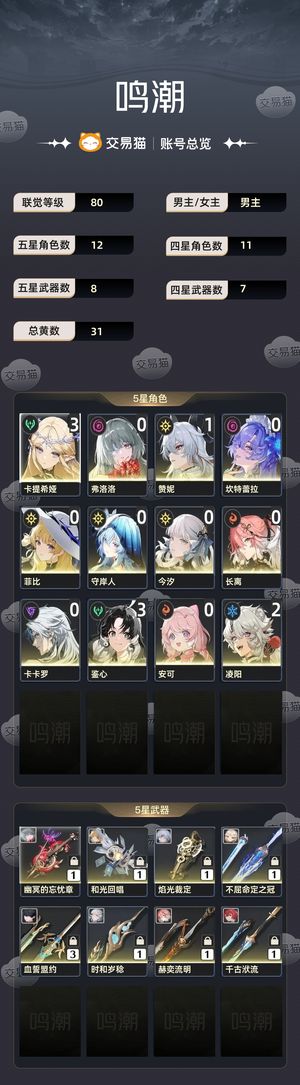 鸣潮【80级】 上班没时间玩了