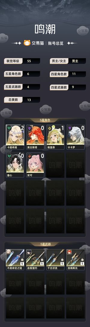 鸣潮【55级】 2 1卡提希娅