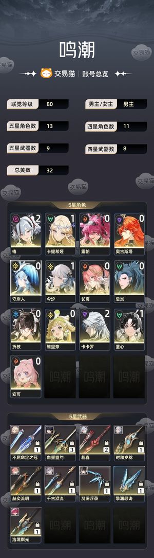 鸣潮【80级】 角色垫63武器垫34