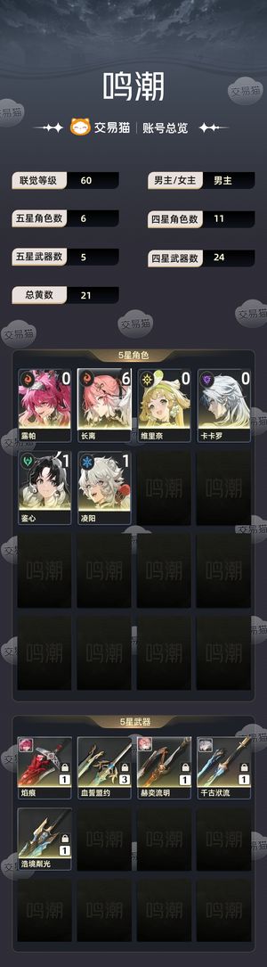 鸣潮【60级】 满命61长离01露帕无绑定干净