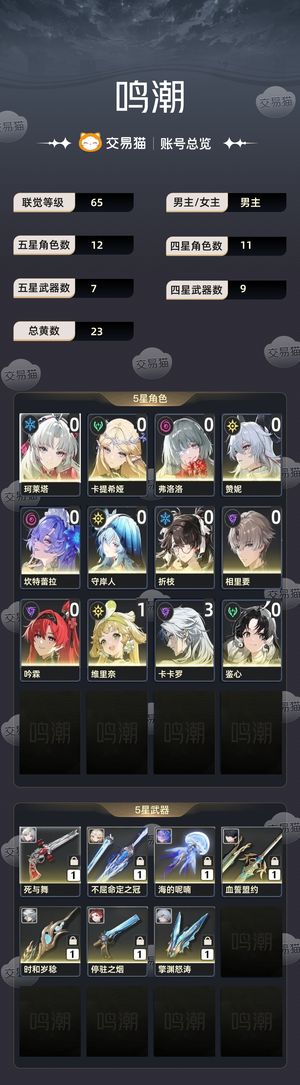 鸣潮【65级】 强势配队都有，专武也有