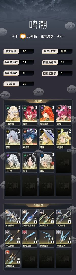 鸣潮【80级】 退坑不玩了