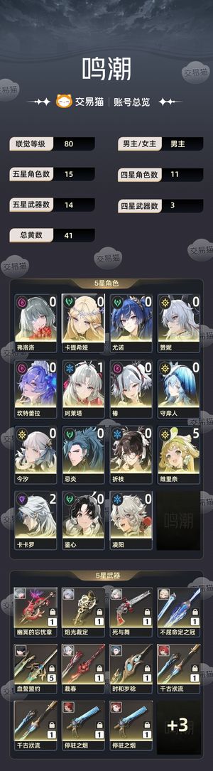 鸣潮【80级】 80级退坑号
