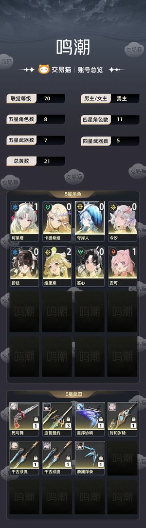 鸣潮【70级】 11柯01汐带皮肤01守金翅膀