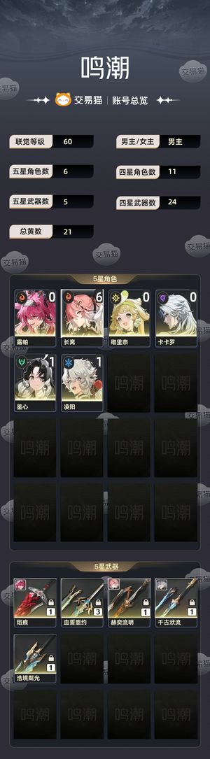 鸣潮【60级】 满命61长离01露帕无绑定干净